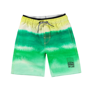 Molo Neal Aqua Green Swim Shorts on DLK.