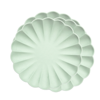 Mint Green Eco Party Plates