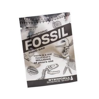 Prehistoric Fossil Blind Bags on DLK
