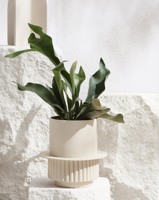 Modern planters and vases on Design Life Kids