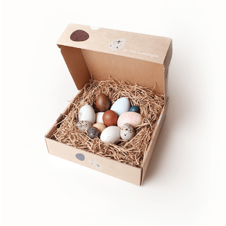Moon Picnic-A Dozen Bird Eggs in a Box on Design Life Kids