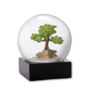 Bonsai Tree Snow Globe on DLK