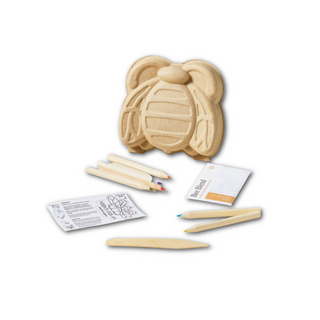 Curious Critters Bee Activity Kit