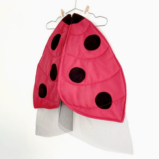 Ladybug Wings Costume on Design Life  Kids