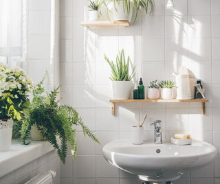 Modern bathroom with plants and essentials at Design Life Kids