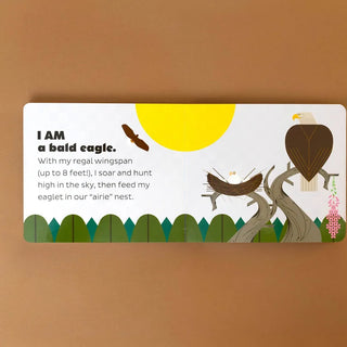 I Am Wild In The Sky Board Book Charley Harper on Design Life Kids