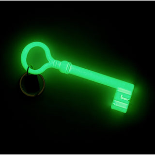 Glow in the Dark Reality Key Keychain at Design Life Kids