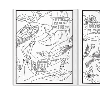 Salty Birds Adults Coloring Book at DLK