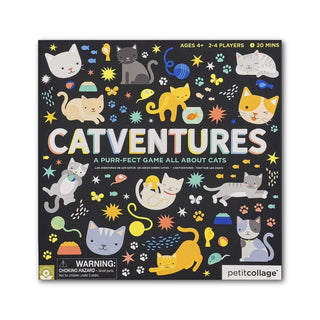 Catventures Game for Kids at Design Life Kids