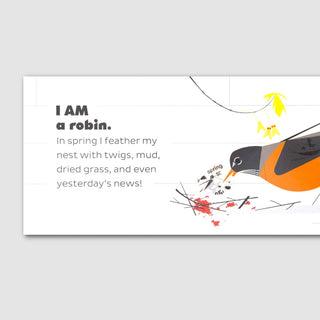 Charley Harper's I Am Wild In The City Board Book at DLK