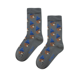 Tinycottons Bears Medium Socks for kids on DLK