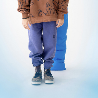 Fresh Dinosaurs FD Blue Sweat pants for kids on Design  Life Kids