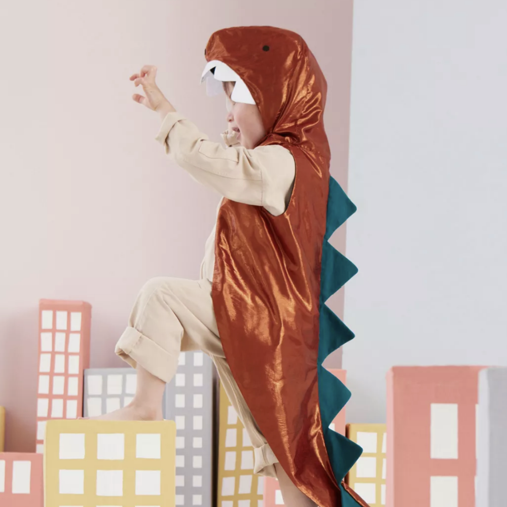 Kids Halloween Dinosaur Costume at DLK – Design Life Kids