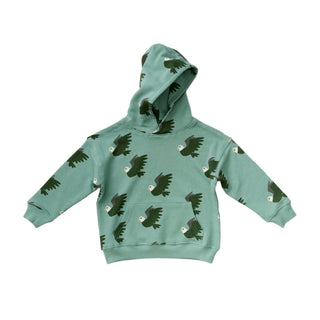 Organic Eagles Hoodie Sweatshirt for kids at Design Life Kids