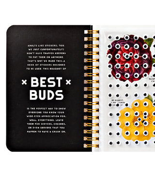 Floral Googly Sticker Book at DLK