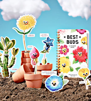 Floral Googly Sticker Book at DLK