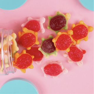 Sea Turtle Gummies Candy Club on Design Life Kids
