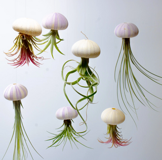 Kids Creative Jellyfish Terrarium Workshop at DLK Design Life Kids