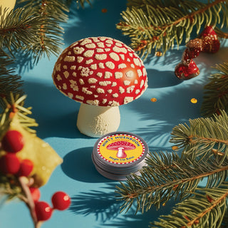 Swedish Dream Minty Mushroom Lip Balm at DLK