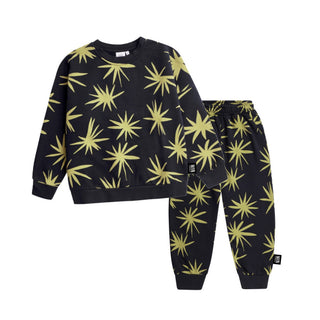 Little Man Happy Stars Sweat at DLK