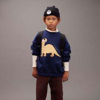 Mini Rodini Dinosaur Sweatshirt at DLK