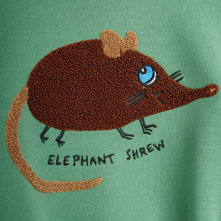 Mini Rodini Organic Kids Sweatshirts at DLK