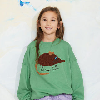 Mini Rodini Organic Kids Sweatshirts at DLK
