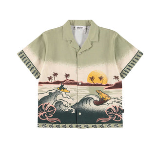 Molo Boys Rui Surfcard Cruise Shirt at Design Life Kids