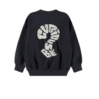 Molo Mar Sweatshirt for Kids at DLK