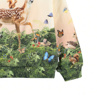 Morning Stroll Sweatshirt Molo on Design Life Kids