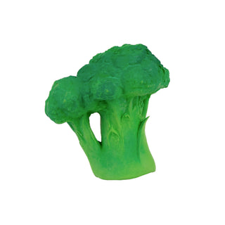 Oli & Carol Brocolli Teether Toy at Design Life Kids