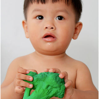 Oli & Carol Brocolli Teether Toy at Design Life Kids