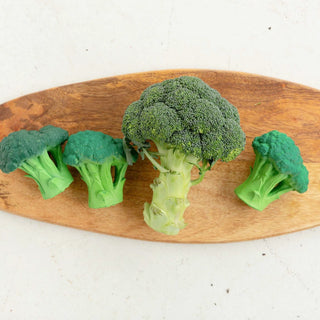 Oli & Carol Brocolli Teether Toy at Design Life Kids