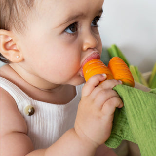 Oli & Carol Cathy the Carrot Lovey Teether at Design Life Kids