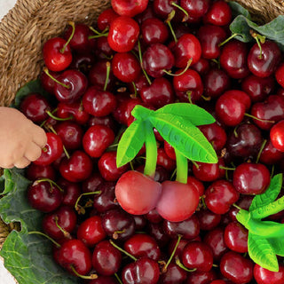 Oli & Carol Cherry Teether Toy at Design Life Kids