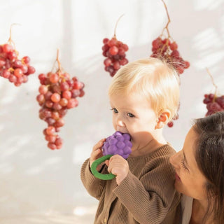 Oli & Carol Grape Rattle Toy at Design Life Kids