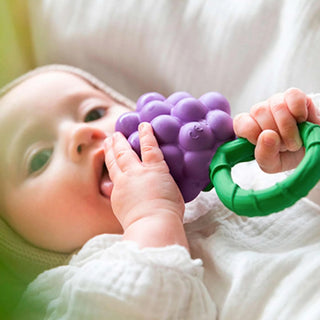 Oli & Carol Grape Rattle Toy at Design Life Kids
