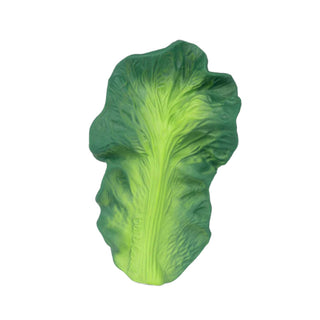 Oli & Carol Kendall The Kale Teether at DLK