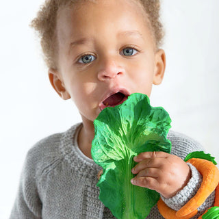 Oli & Carol Kale Teether at DLK