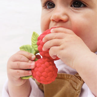 Oli & Carol Raspberry Teether Toy at Design Life Kids Oli & Carol Raspberry Teether Toy at Design Life Kids