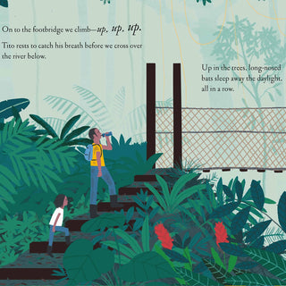 Over and Under the Rainforest Book at Design Life Kids