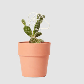 mini plant trellis West Chester University Ram Mini Plant Trellis – Design Life Kids