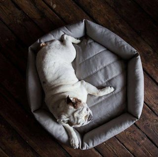Velvet Hippo-Hex Cushion Pet Bed on Design Life Kids