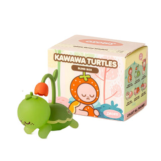 Smoko Kawawa Turtles Glow in the Dark Blind Box at Design Life Kids