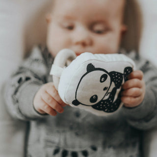 Organic Baby Gift Sets at Design Life Kids