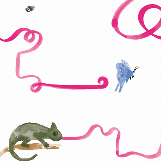Mado-Charlie the Chameleon Print on Design Life Kids
