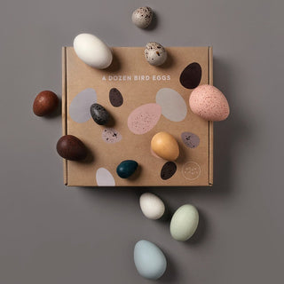 Moon Picnic-A Dozen Bird Eggs in a Box on Design Life Kids