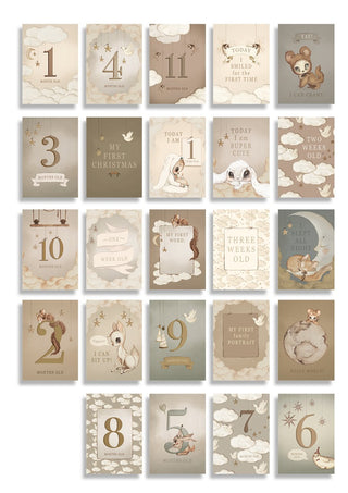 MRS. MIGHETTO-Baby's First Year Cards on Design Life Kids