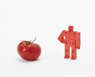 AREAWARE-Cubebot Micro on Design Life Kids