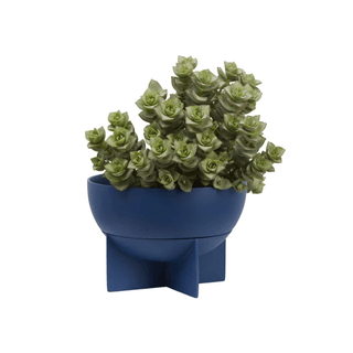 neptune plant pots Capra Designs Dome Eros Planter
